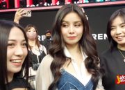 MNL48