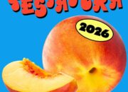 Pestapora 2026