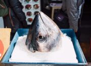 Ikan Tuna