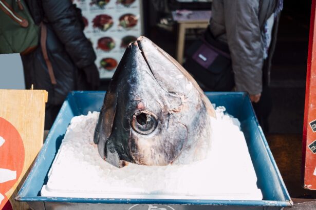 Ikan Tuna
